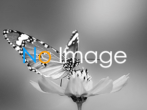 ブログDemo01のSEO対策用Titleの画像